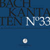 Rudolf Lutz 바흐: 칸타타 33집 (Bach: Kantaten No.33 - Cantatas BWV102, BWV228, BWV69a)