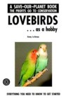 Lovebirds-- As a Hobby