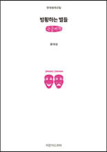 방황하는 별들 (큰글씨책)