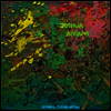 Joshua Abrams - Natural Information (LP)