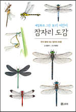 잠자리 도감 : 세밀화로 그린 보리 어린이 도감