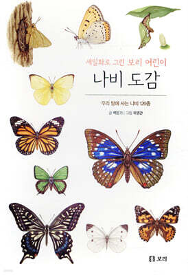 나비 도감 : 세밀화로 그린 보리 어린이 도감