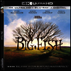 Big Fish (빅 피쉬) (4K Ultra HD)(한글무자막)