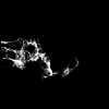 Saffronkeira - Tourette (LP)