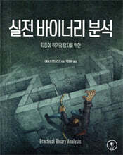 실전 바이너리 분석