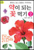 약이 되는 꽃 먹기 2