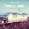 Nomadland: Surviving America in the Twenty-First Century