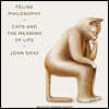 Feline Philosophy Lib/E: Cats and the Meaning of Life