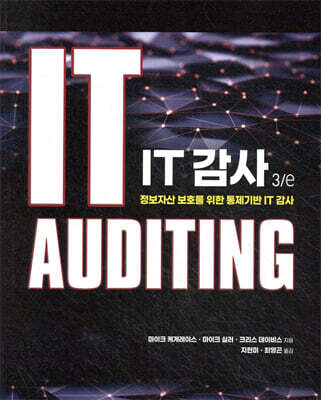 IT 감사 3/e