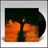 Antlers - Green To Gold (LP)