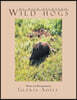 My Wild Backyard: Wild Hogs
