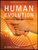 Human Evolution