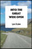 Into the Great Wide Open