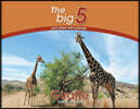 Giraffe: The Big 5 and Other Wild Animals