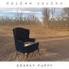 Snarky Puppy (스나키 퍼피) - Culcha Vulcha
