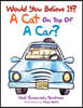 Would You Believe It? a Cat on Top of a Car?