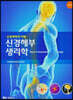 신경해부 생리학
