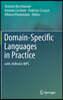 Domain-Specific Languages in Practice: With Jetbrains Mps