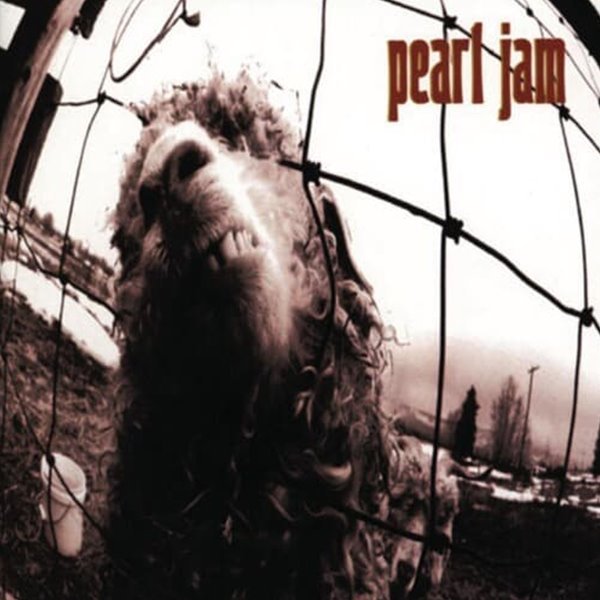 [중고] Pearl Jam / Vs.