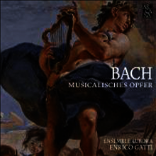 바흐: 음악의 헌정 (Bach: Musikalisches Opfer)(CD) - Enrico Gatti