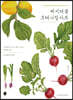 베지터블 보태니컬 아트