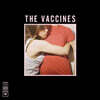 The Vaccines (백신즈) - What Did You Expect from The Vaccines? [2LP]