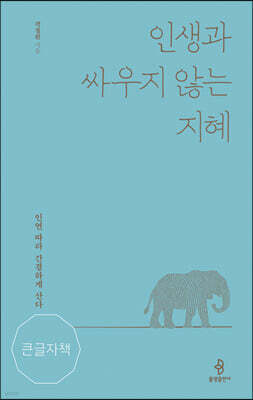 인생과 싸우지 않는 지혜 큰글자책