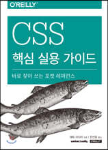 CSS 핵심 실용 가이드
