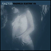Magnolia Electric Co. - Fading Trails (LP)