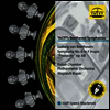 베토벤: 교향곡 6번 '전원' (Beethoven: Symphony No.6 'Pastroal') (180g)(LP) - Wojciech Rajski