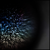 Emptyset - Blossoms (MP3 Download)(LP)