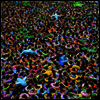 Elbow - Giants Of All Sizes (Gatefold)(180G)(LP)