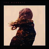 Wombats - Glitterbug (LP)