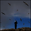 Hamerkop - Remote (LP)