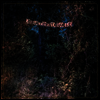 Eyelids - The Accidental Falls (LP)