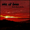 Sea Of Bees - Build A Boat To The Sun (LP)