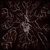Trash Boat - Crown Shyness (CD)