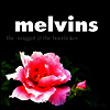 Melvins - The Maggot & The Bootlicker (2LP)