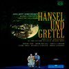 훔퍼딩크: 오페라 '헨젤과 그레텔' (Humperdinck: Opera 'Hansel und Gretel') (DVD)(한글무자막) (2016) - Adrian Erod