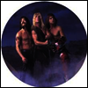 Spinal Tap - Break Like The Wind (Ltd. Ed)(Picture Disc)(Vinyl LP)