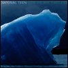 Imperial Teen - Now We Are Timeless (Vinyl LP)
