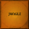 Jungle - For Ever (Gatefold)(LP)