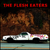 Flesh Eaters - I Used To Be Pretty (MP3 Download)(2LP)