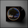Bill Fay - Countless Branches (LP+Download Code)