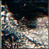 Compound Eye - Journey From Anywhere (2LP)