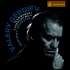 차이코프스키: 교향곡 6번 '비창' (Tchaikovsky: Symphony No.6 'Pathetique') (180g)(LP) - Valery Gergiev