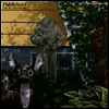 Fiddlehead - Get My Mind Right (Colored 7 inch Single LP)