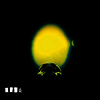 Mourning (A) Blkstar - The Cycle (MP3 Download)(Clear 2LP)