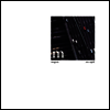 Mogwai - Ten Rapid (Collected Recordings 1996-1997) (Ltd. Ed)(MP3 Download)(Dark Green LP)