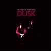 Ultimate Painting - Dusk (Vinyl LP)
